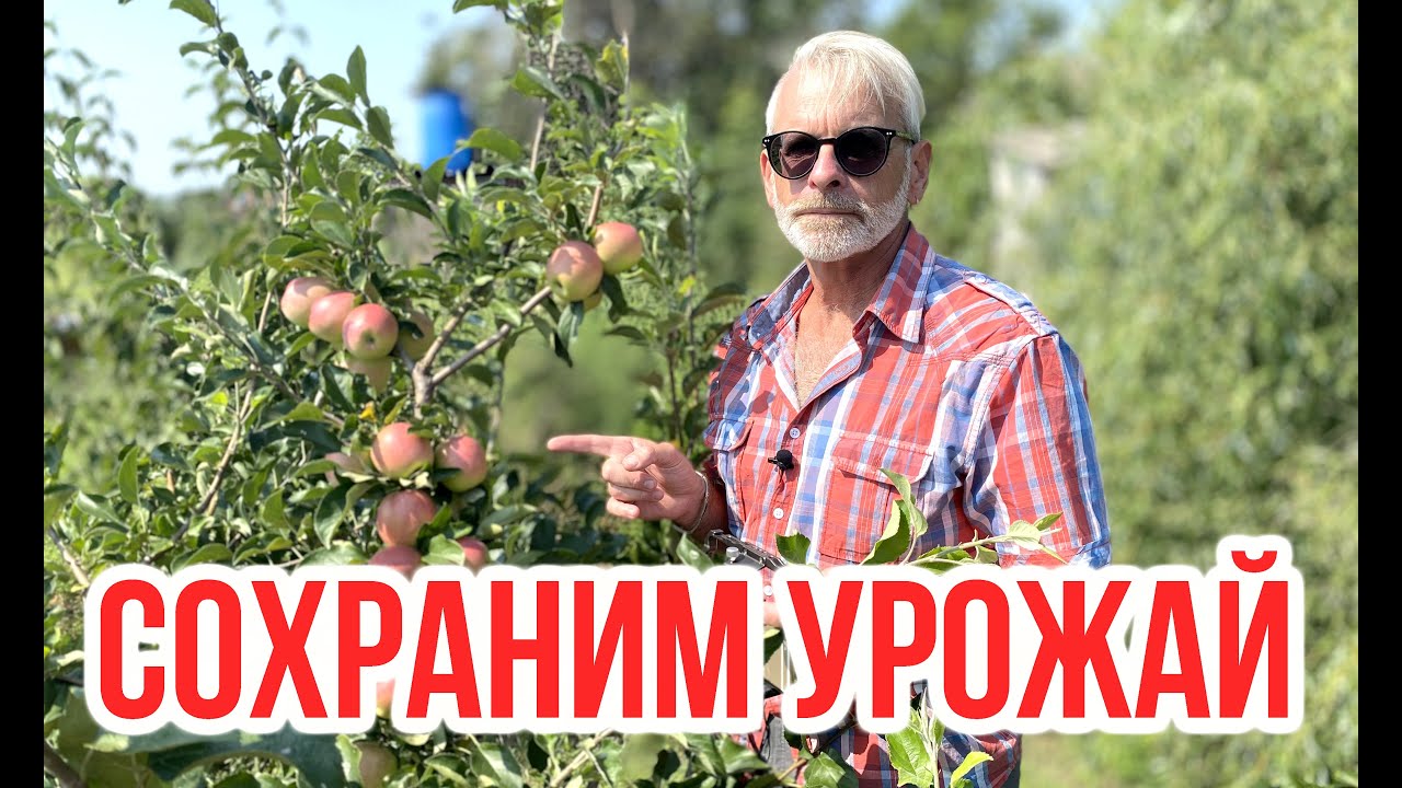 Нажмите, чтобы запустить видео