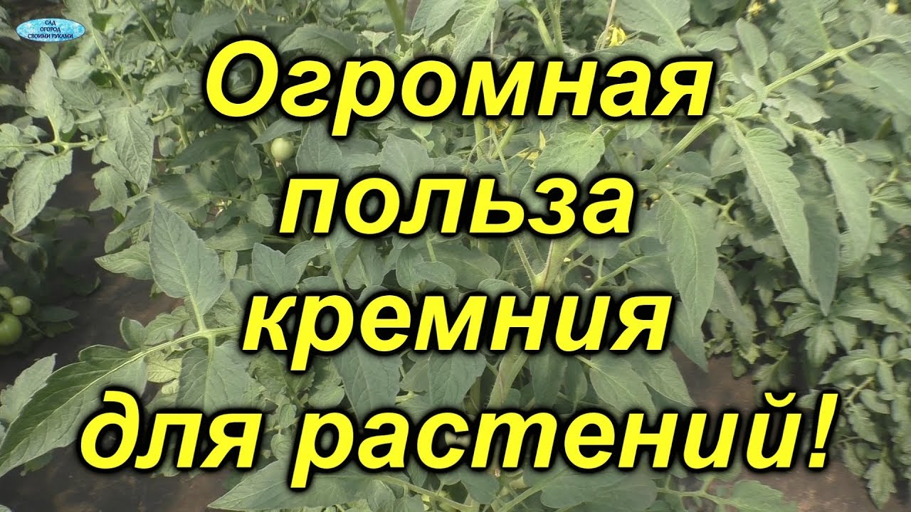 Нажмите, чтобы запустить видео