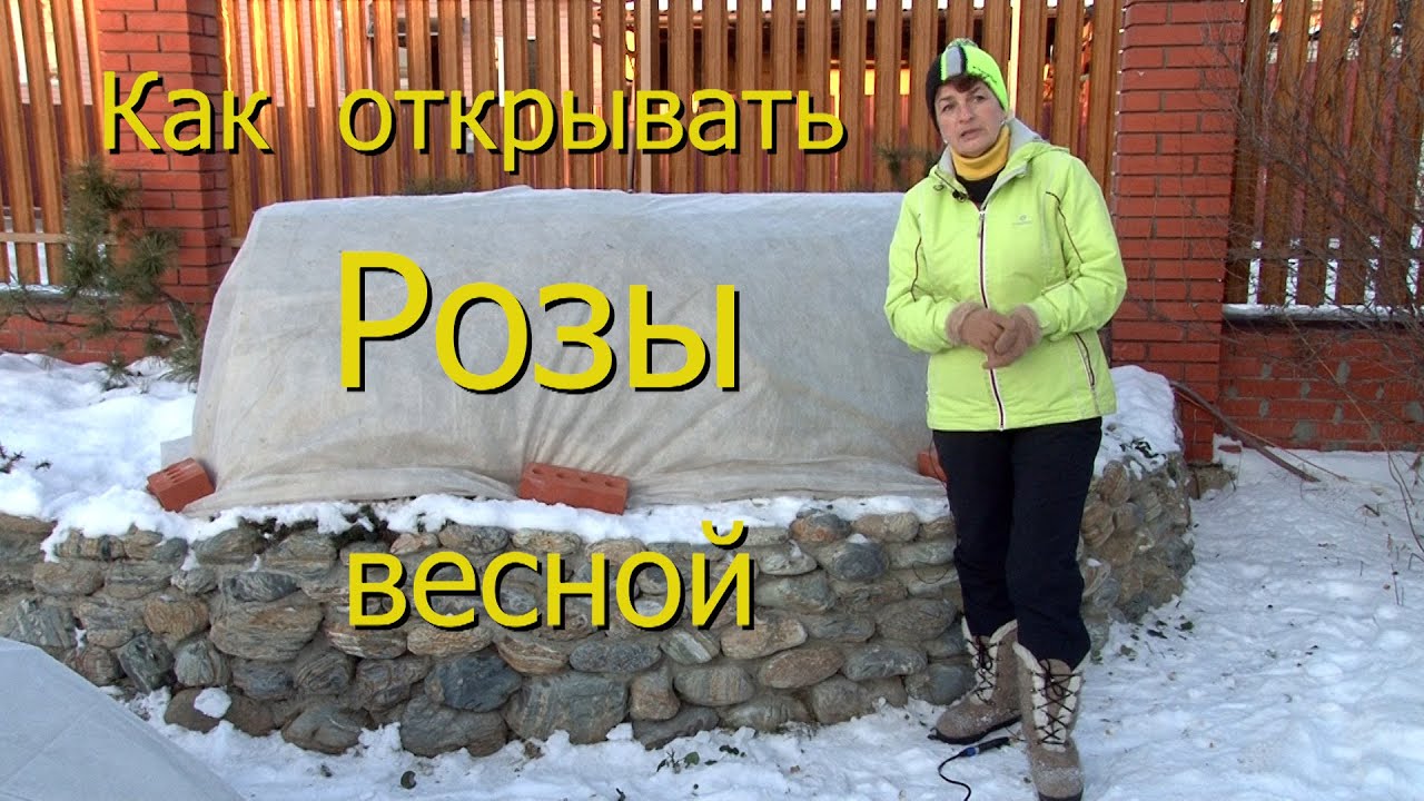 Нажмите, чтобы запустить видео