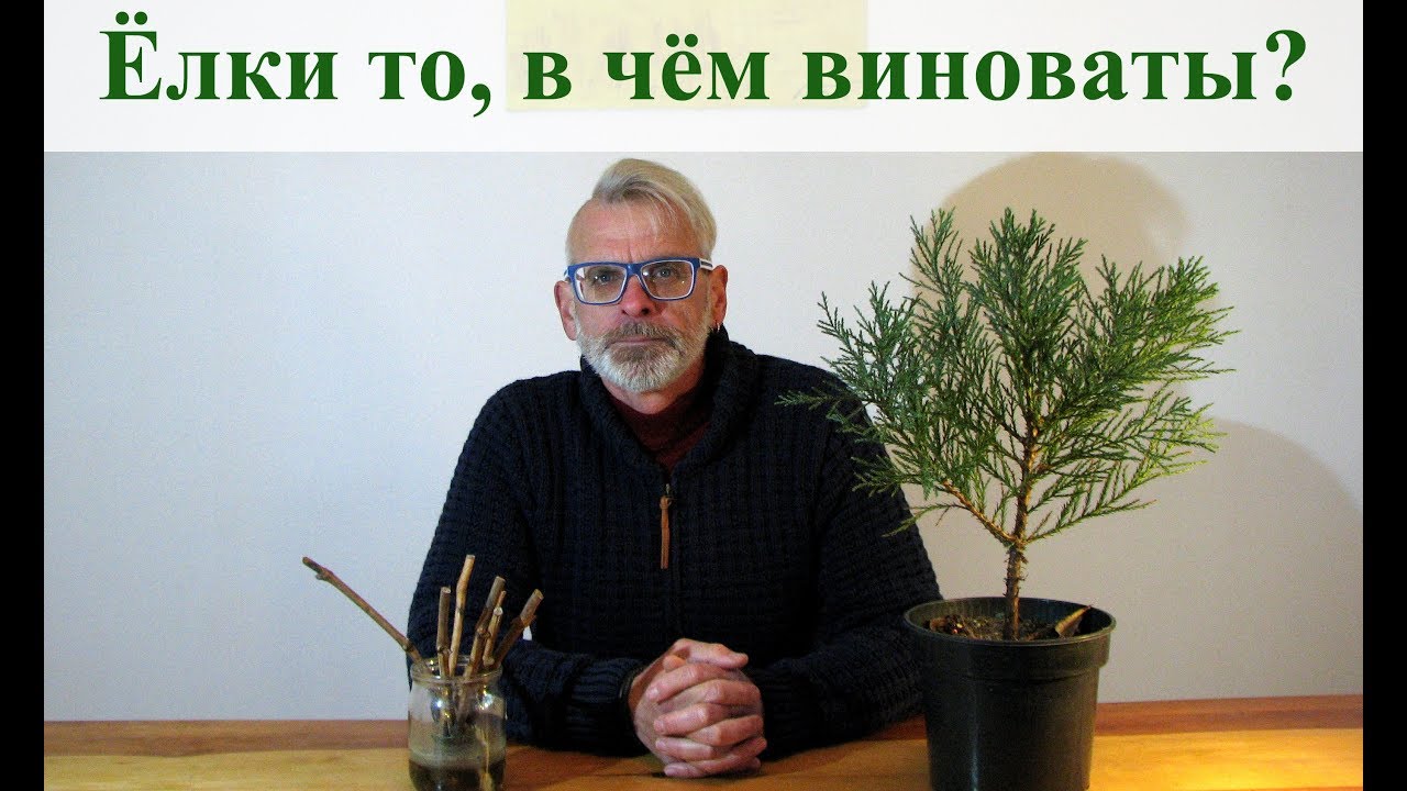 Нажмите, чтобы запустить видео