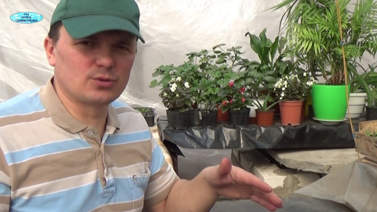 Нажмите, чтобы запустить видео