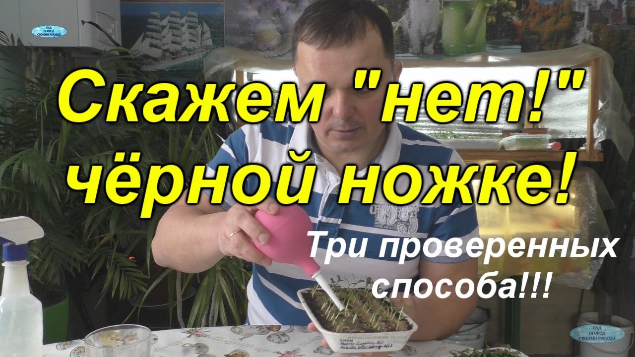 Нажмите, чтобы запустить видео
