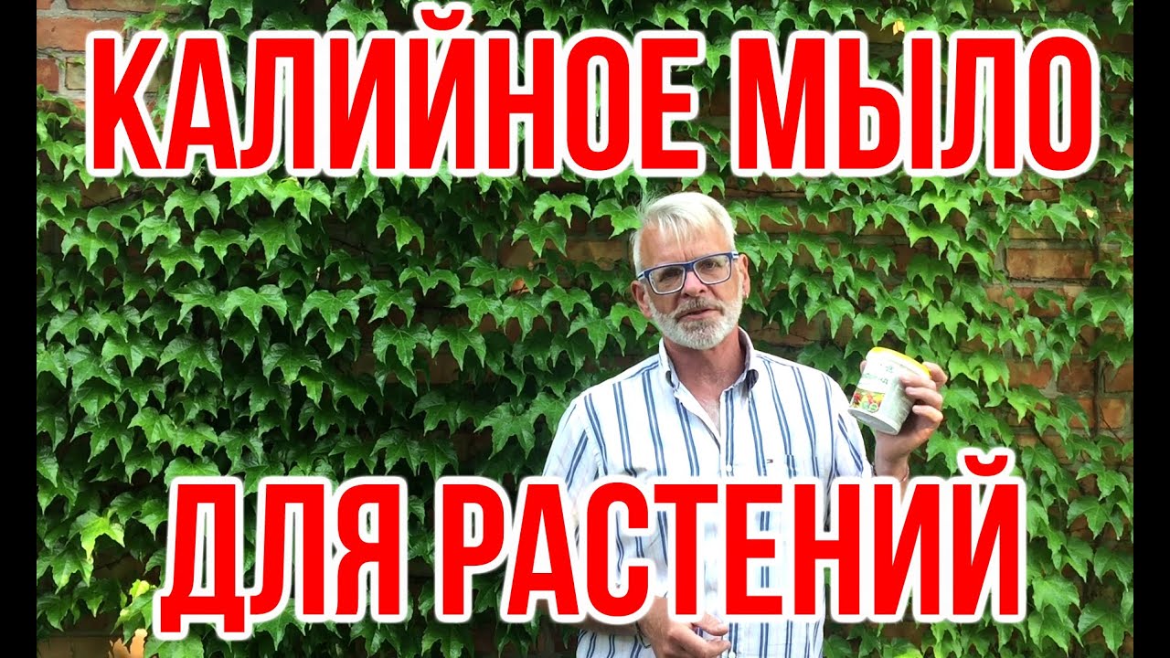 Нажмите, чтобы запустить видео