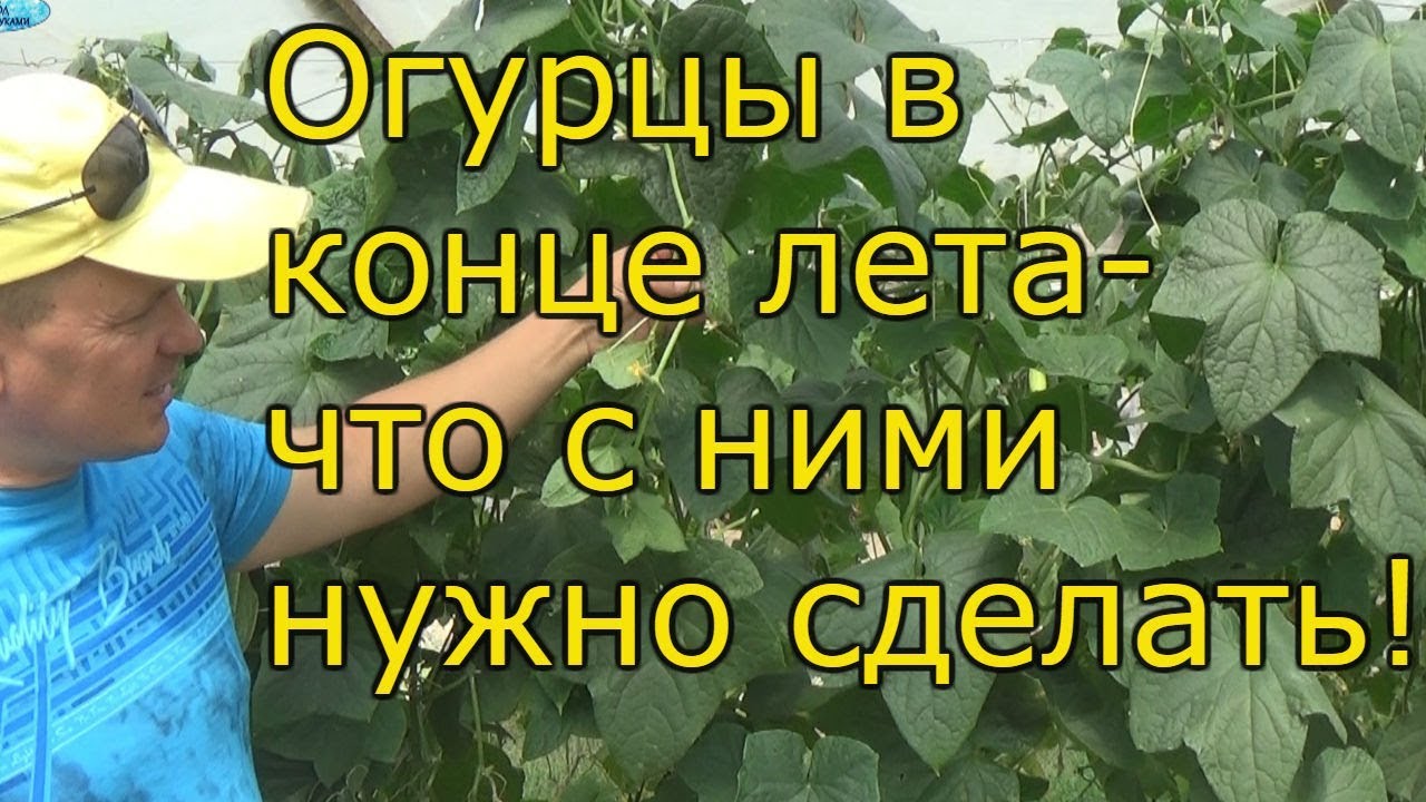Нажмите, чтобы запустить видео