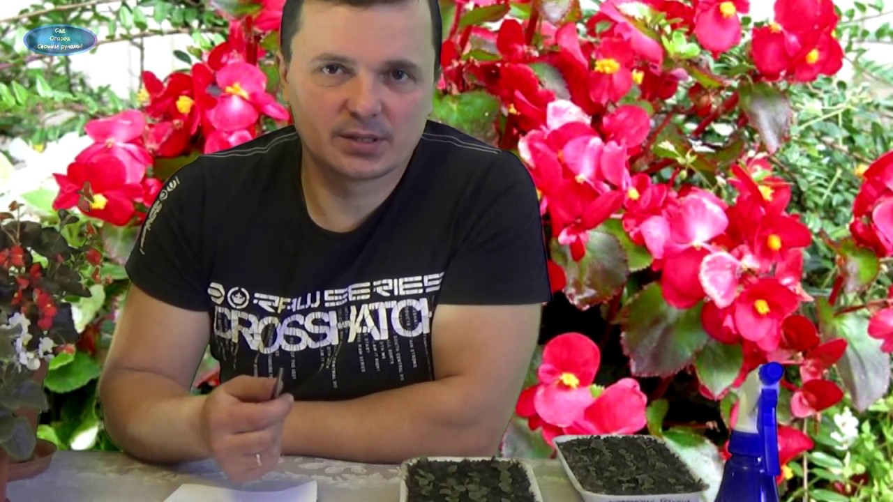 Нажмите, чтобы запустить видео