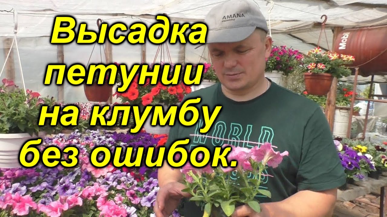 Нажмите, чтобы запустить видео