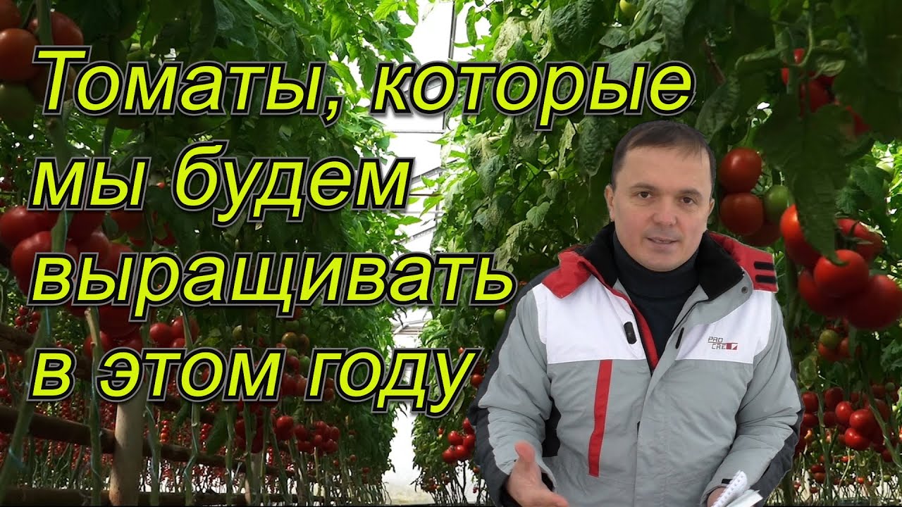 Нажмите, чтобы запустить видео