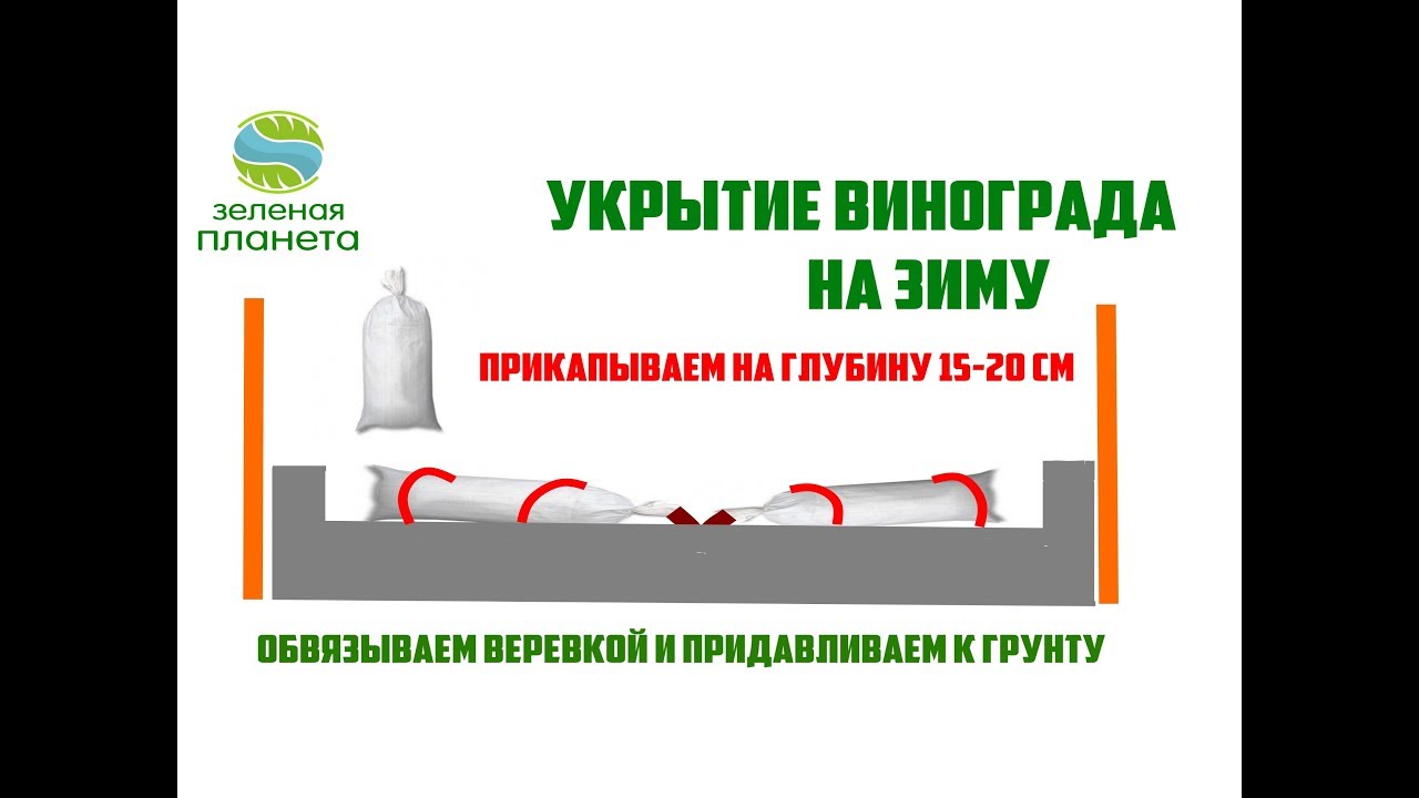 Нажмите, чтобы запустить видео