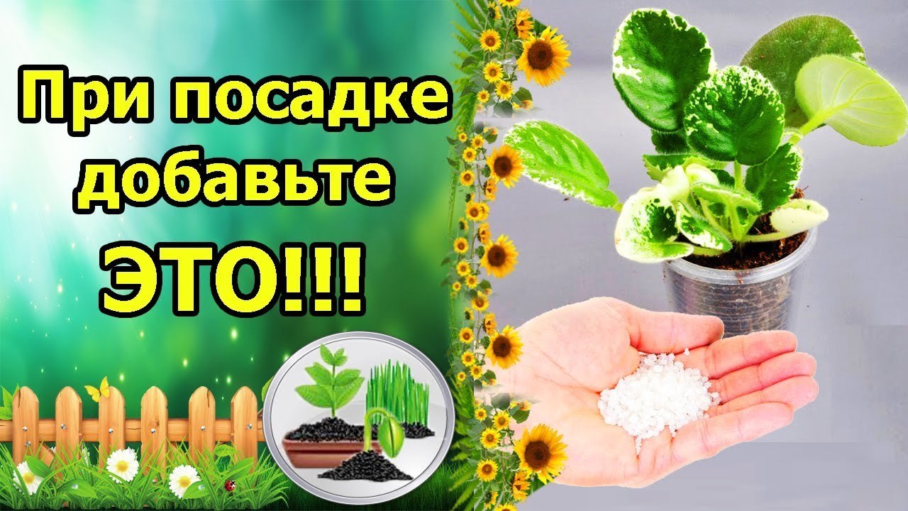 Нажмите, чтобы запустить видео
