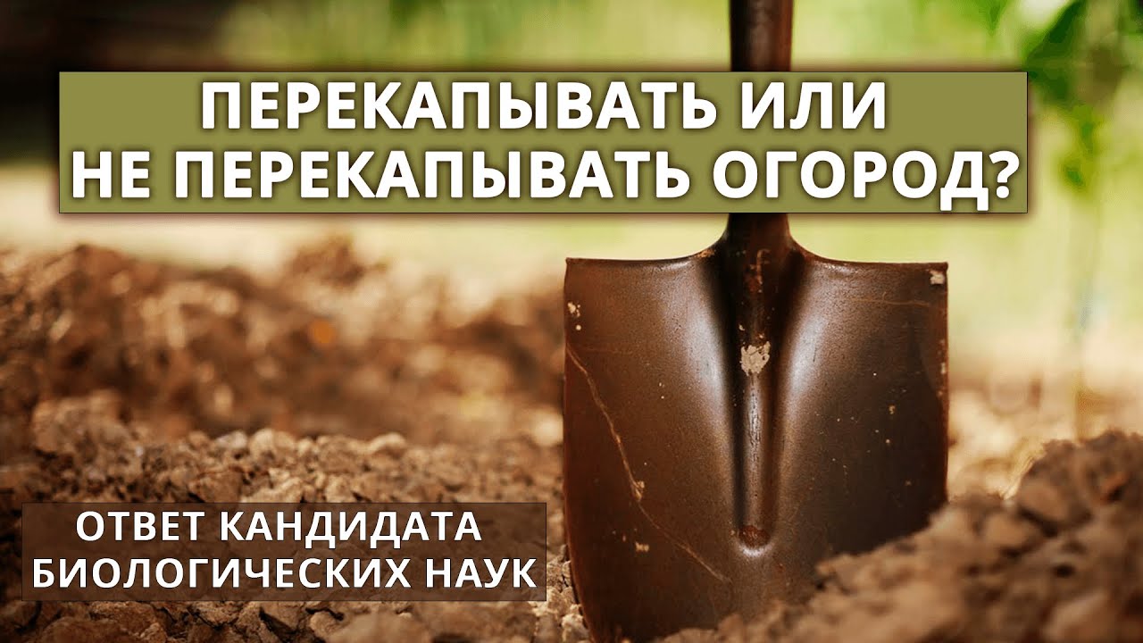 Нажмите, чтобы запустить видео
