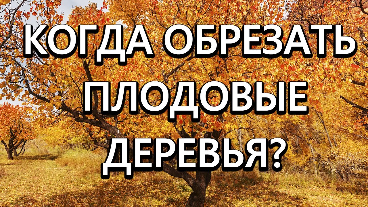 Нажмите, чтобы запустить видео