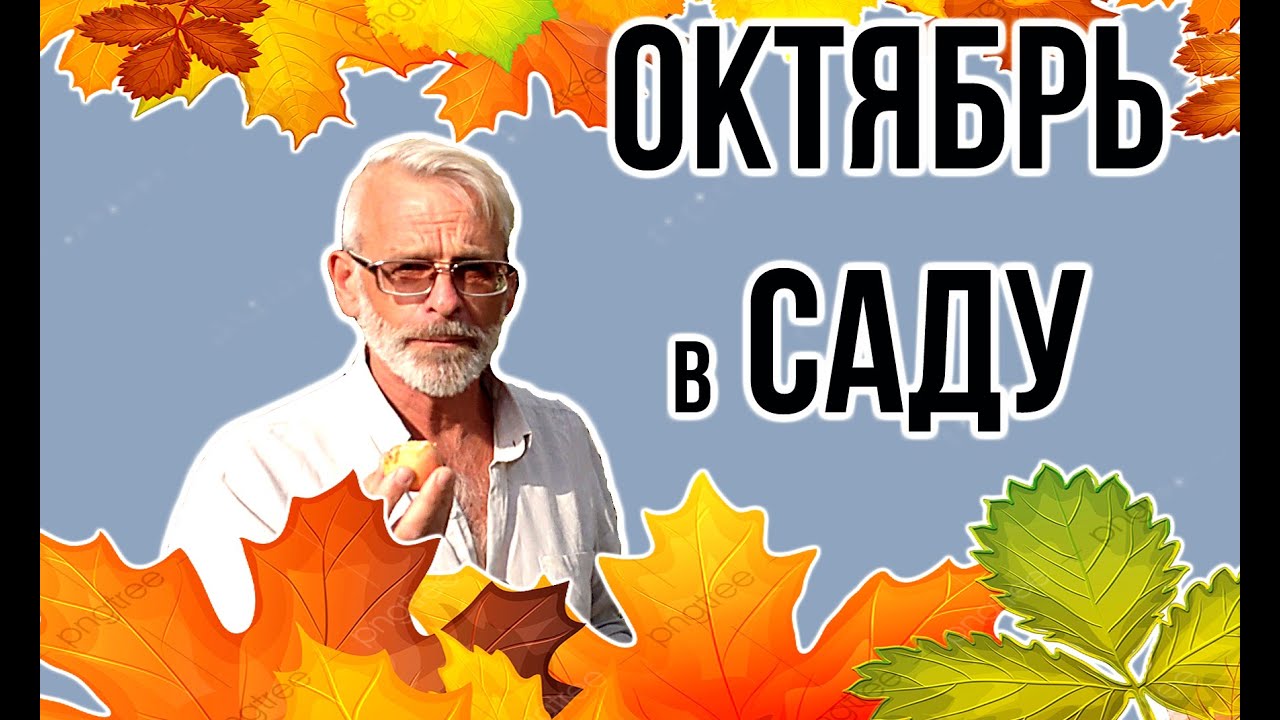 Нажмите, чтобы запустить видео