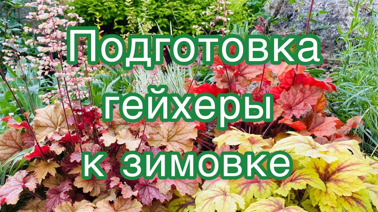 Нажмите, чтобы запустить видео