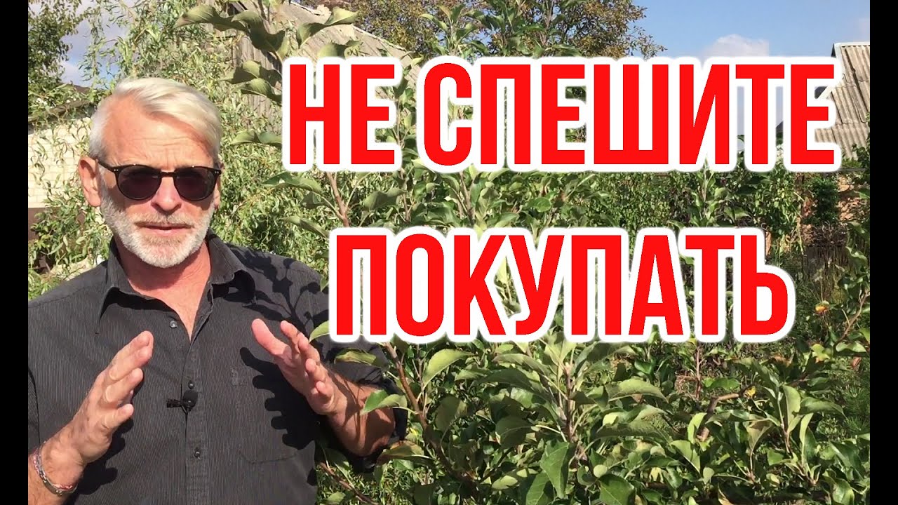 Нажмите, чтобы запустить видео