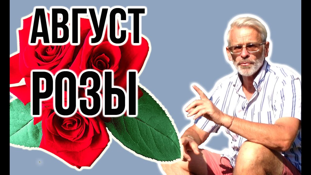 Нажмите, чтобы запустить видео