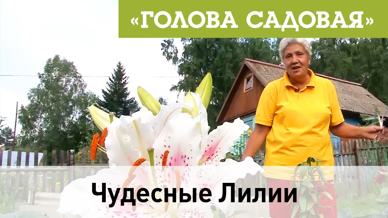 Нажмите, чтобы запустить видео