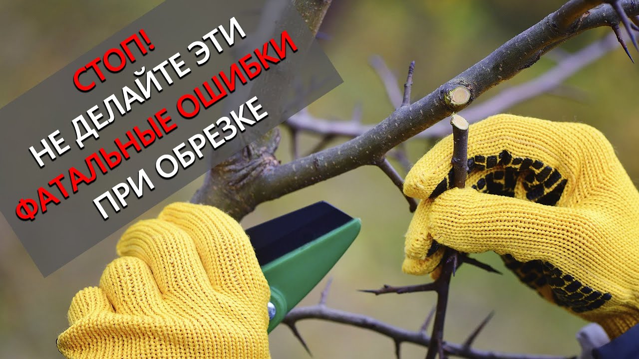 Нажмите, чтобы запустить видео