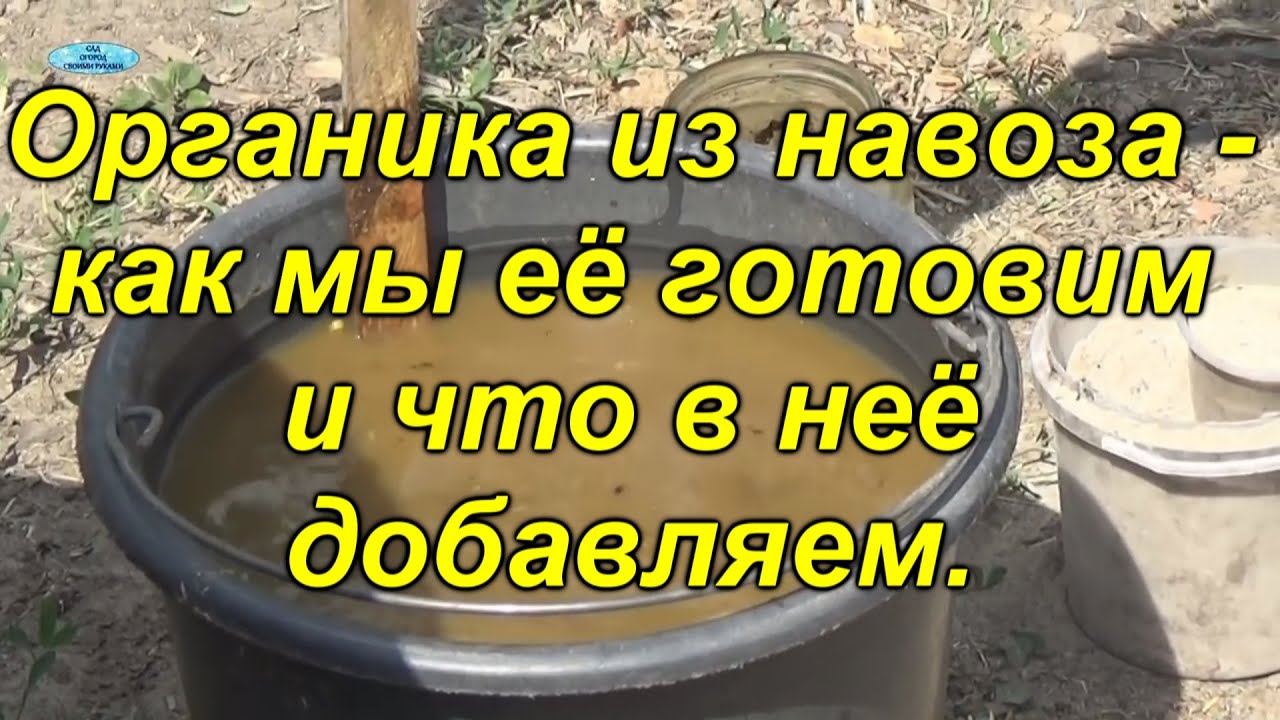 Нажмите, чтобы запустить видео