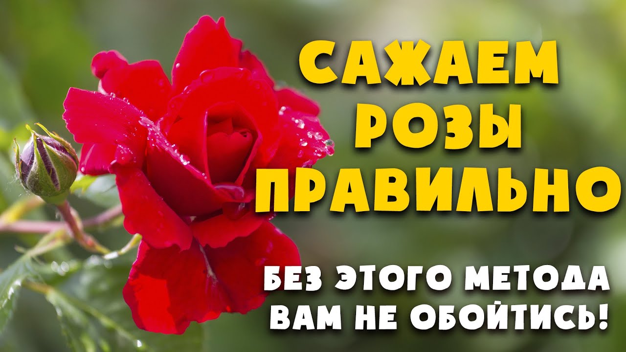 Нажмите, чтобы запустить видео