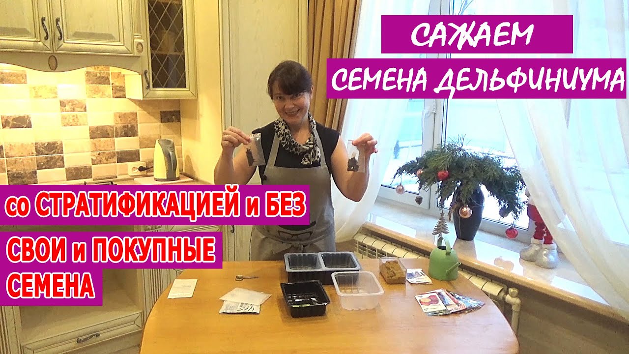 Нажмите, чтобы запустить видео