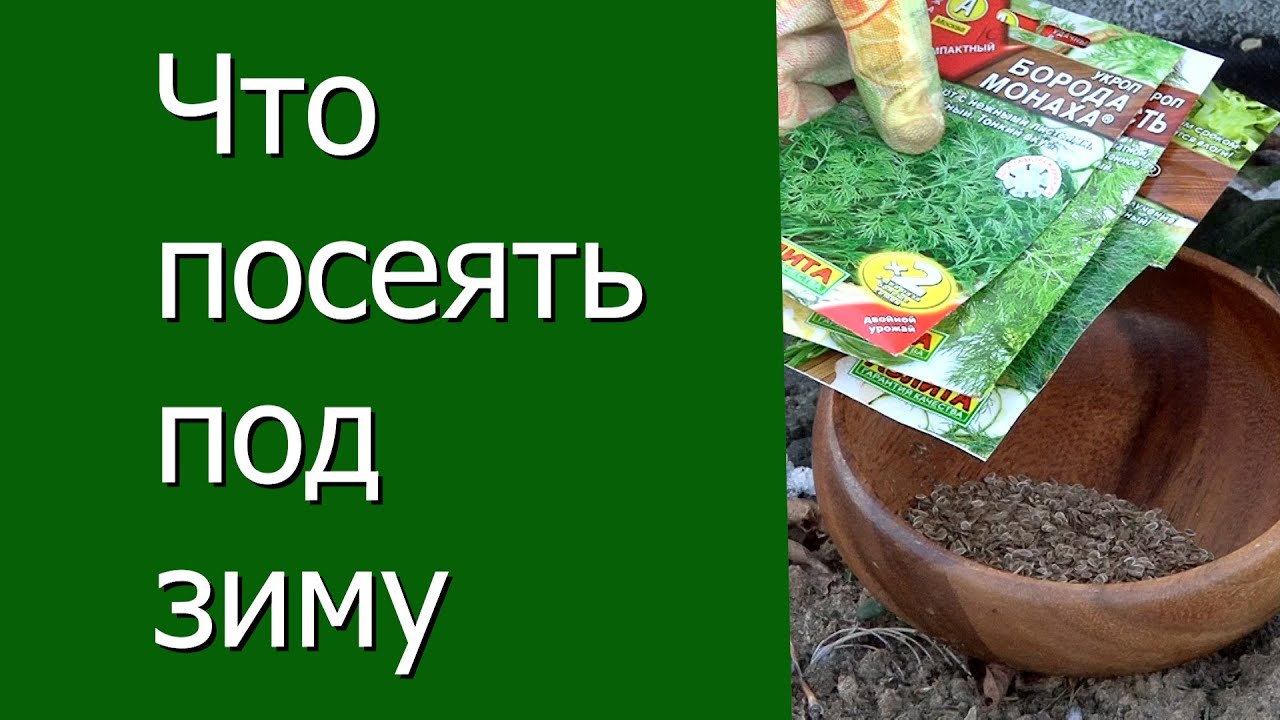 Нажмите, чтобы запустить видео