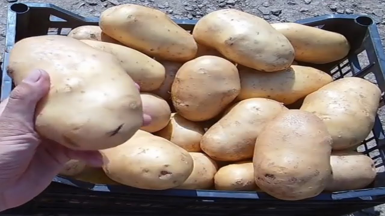Нажмите, чтобы запустить видео