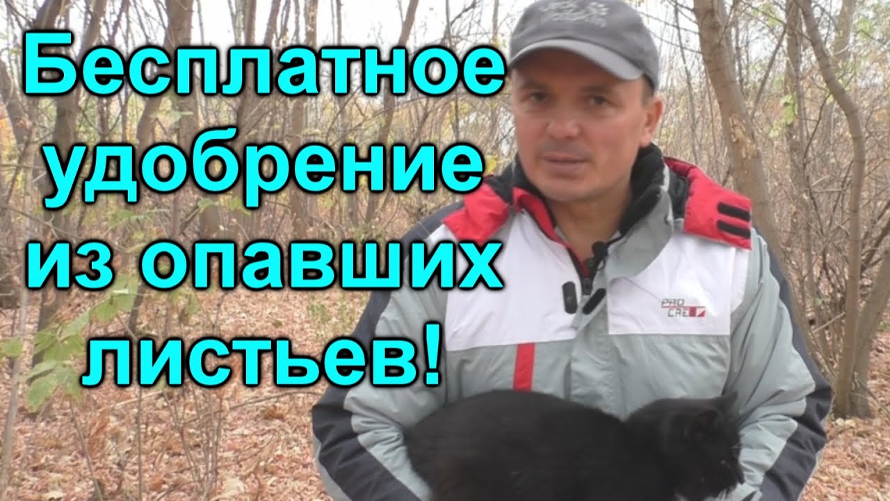 Нажмите, чтобы запустить видео