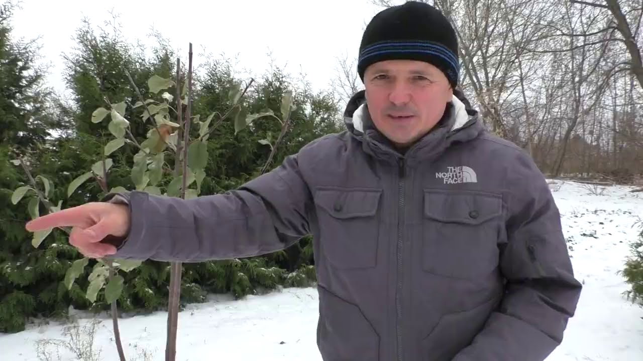 Нажмите, чтобы запустить видео