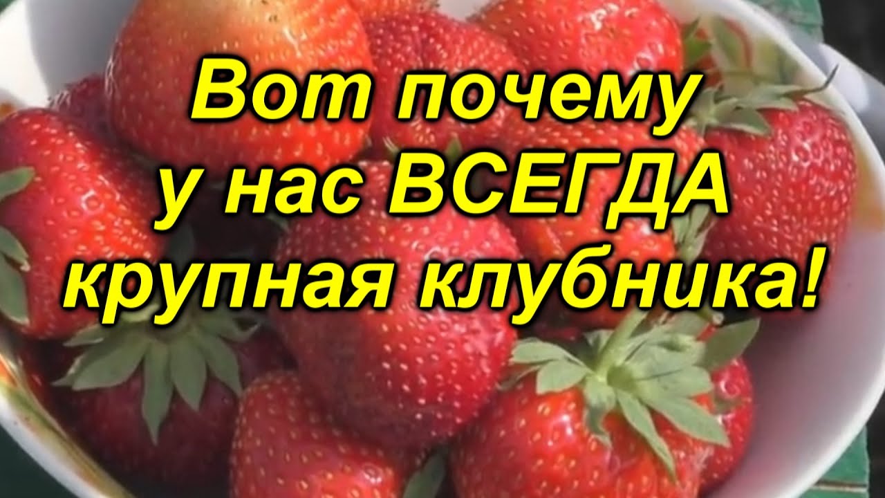 Нажмите, чтобы запустить видео