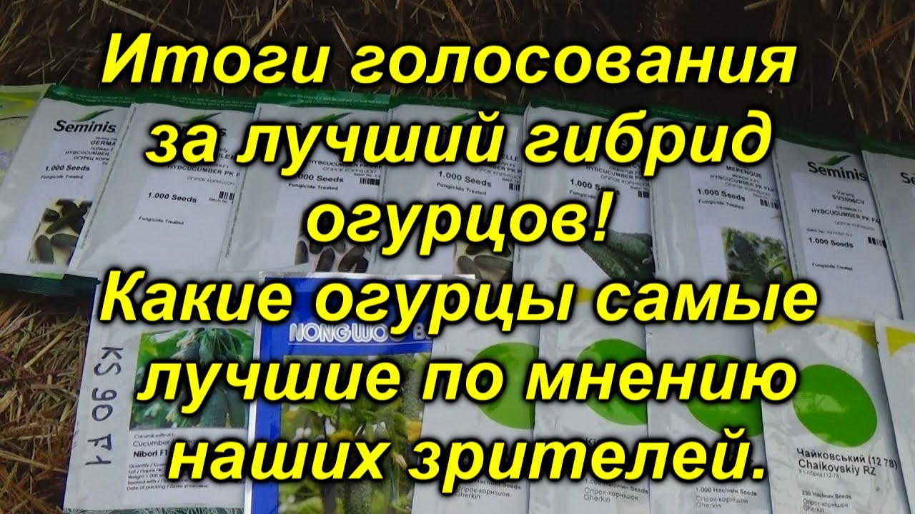 Нажмите, чтобы запустить видео