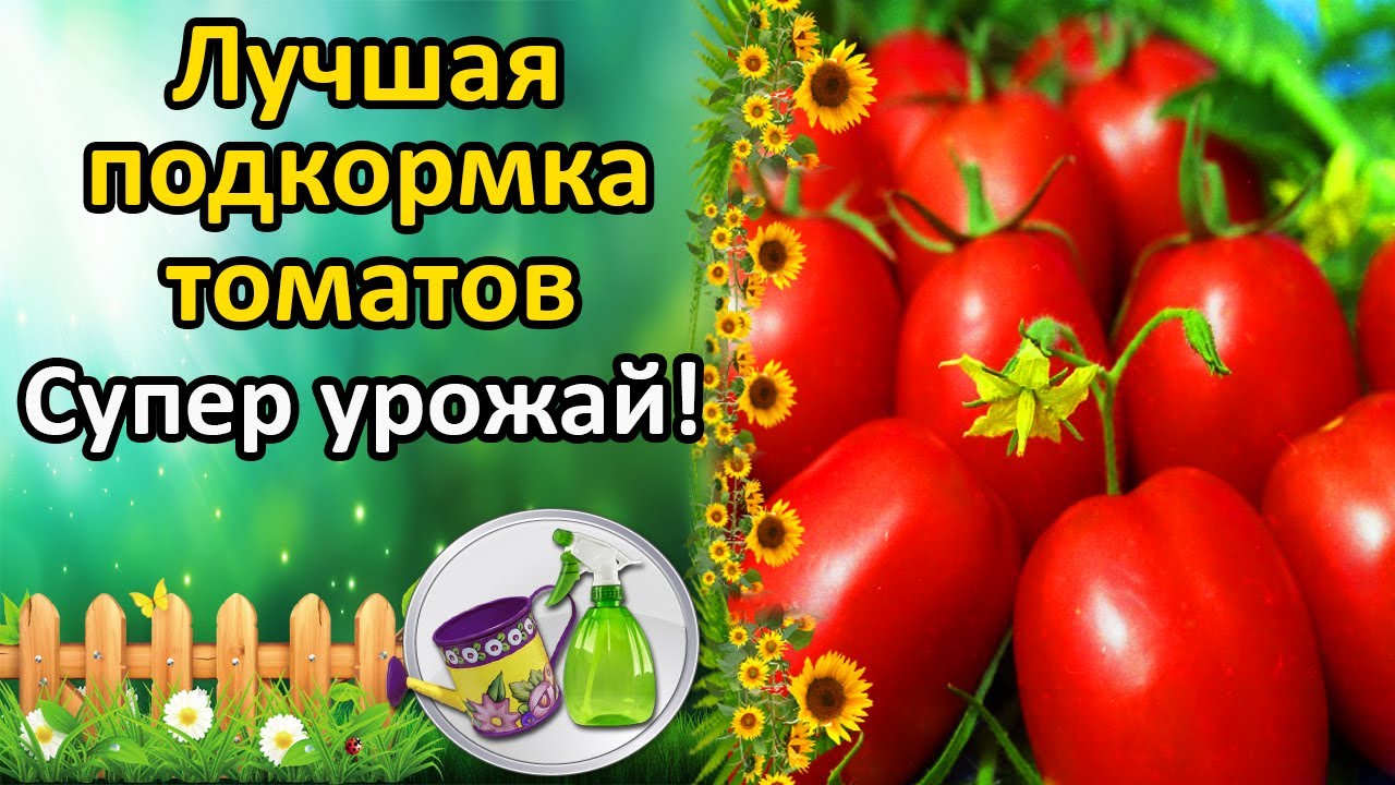 Нажмите, чтобы запустить видео