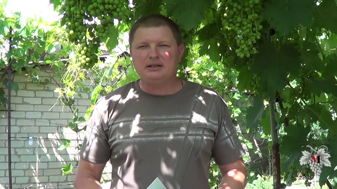 Нажмите, чтобы запустить видео