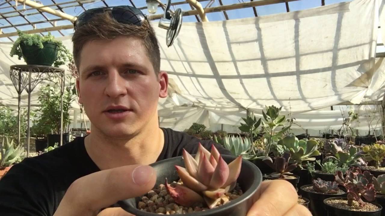 Нажмите, чтобы запустить видео