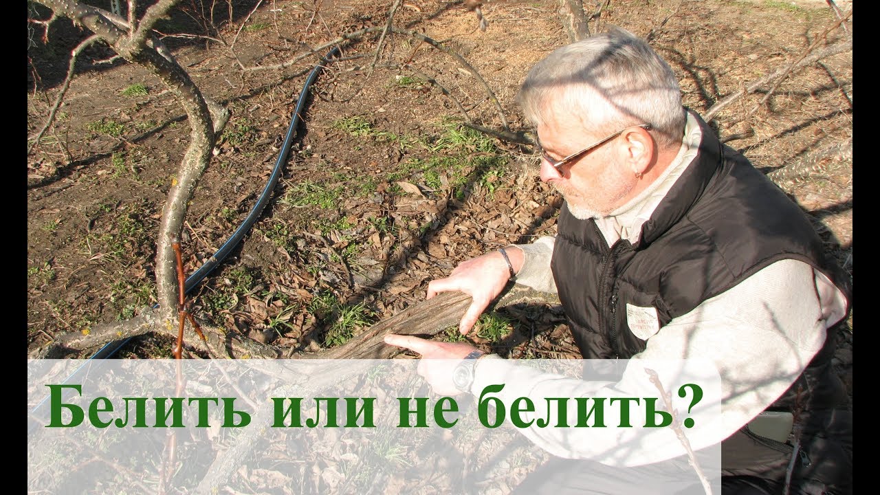 Нажмите, чтобы запустить видео