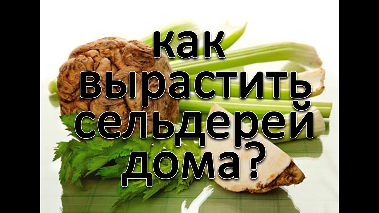 Нажмите, чтобы запустить видео
