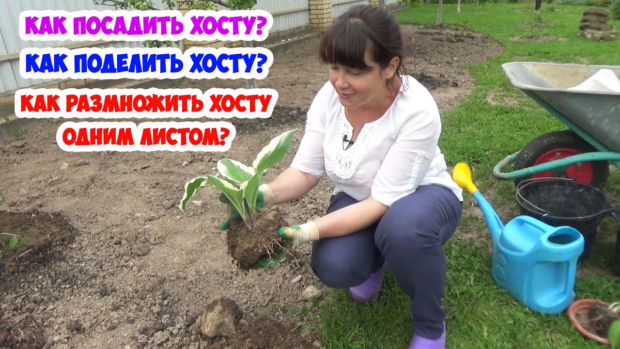 Нажмите, чтобы запустить видео