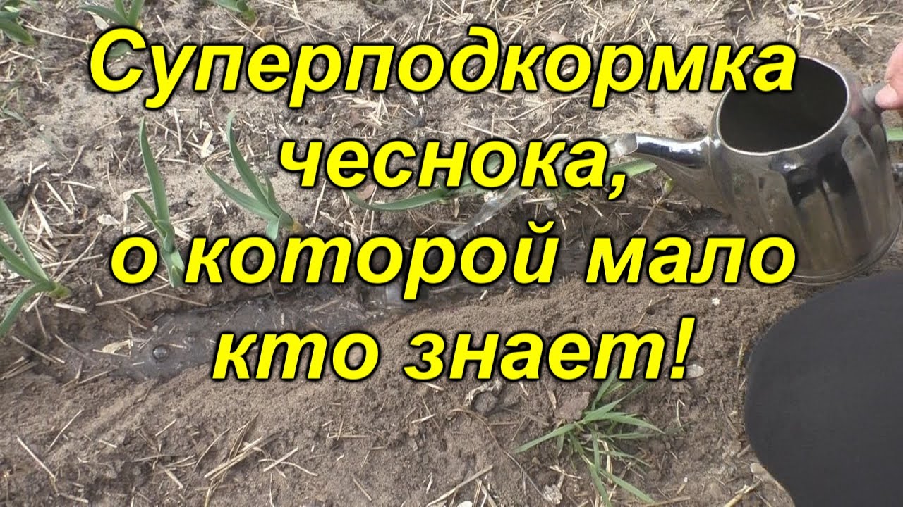 Нажмите, чтобы запустить видео