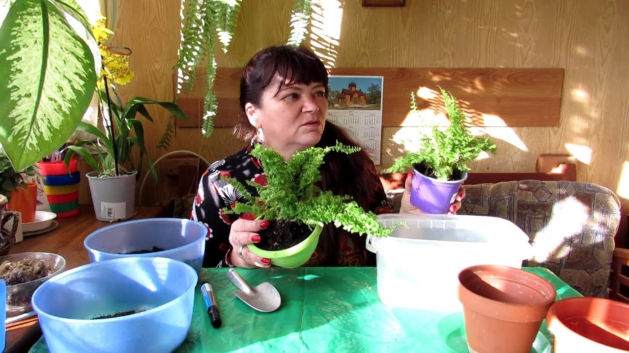 Нажмите, чтобы запустить видео