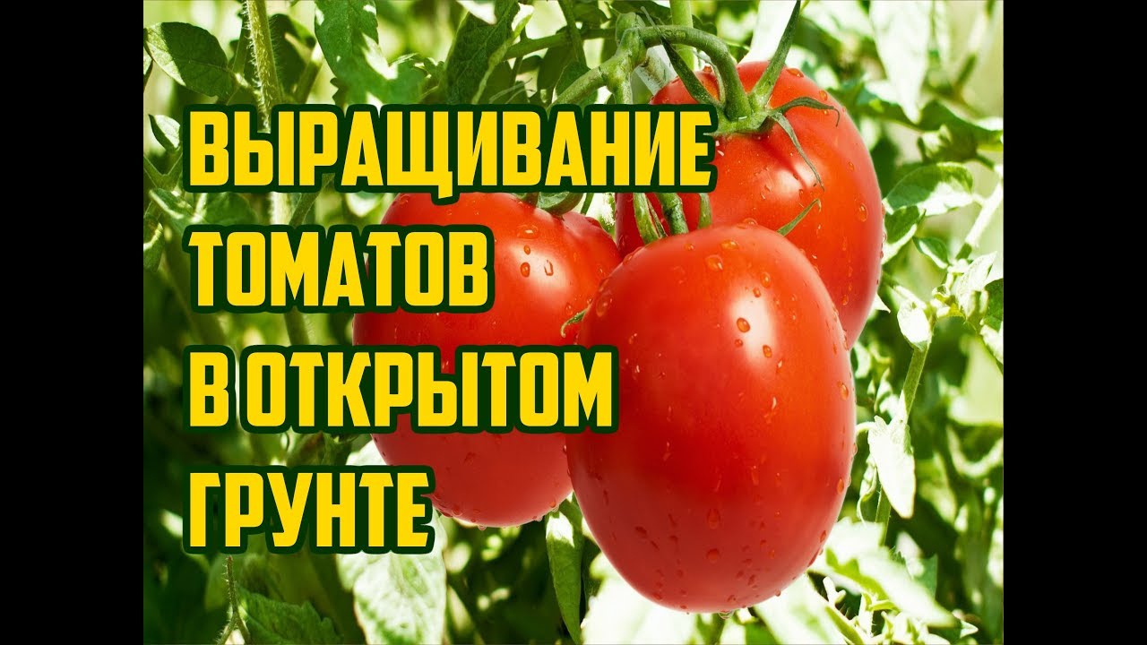 Нажмите, чтобы запустить видео