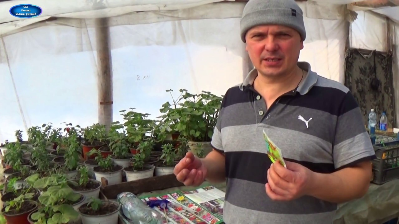Нажмите, чтобы запустить видео