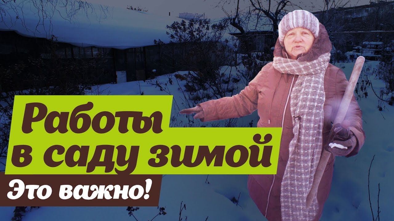 Нажмите, чтобы запустить видео