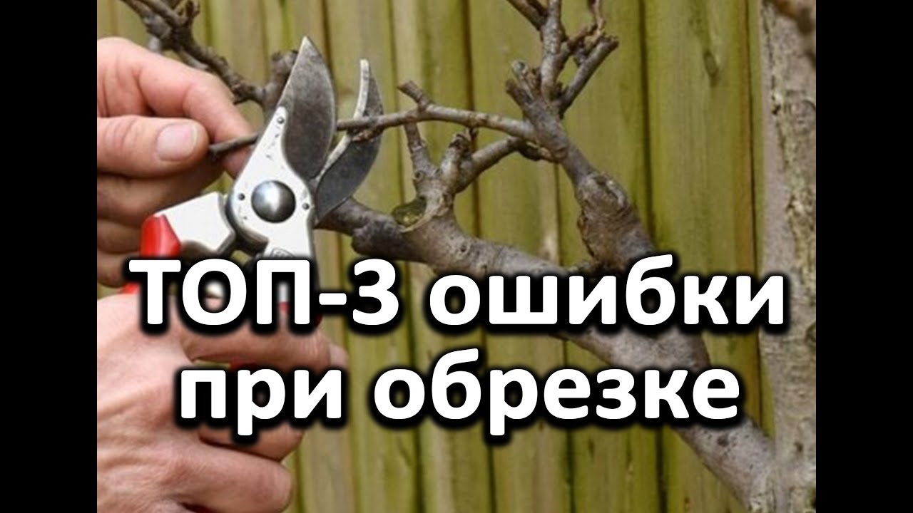 Нажмите, чтобы запустить видео