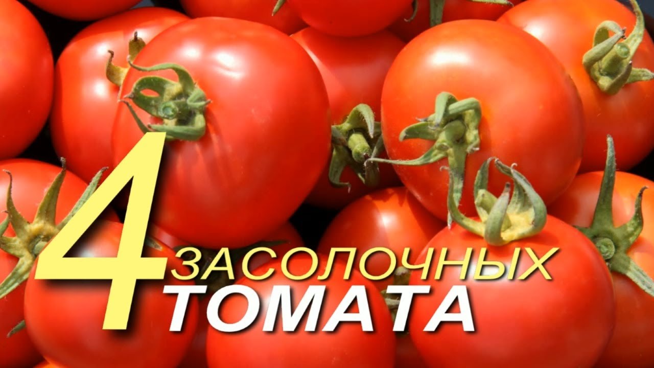 Нажмите, чтобы запустить видео
