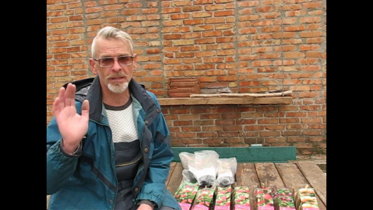 Нажмите, чтобы запустить видео