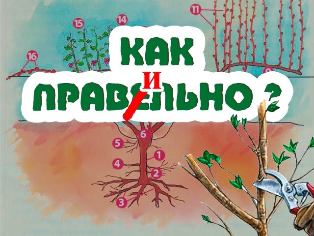 Нажмите, чтобы запустить видео