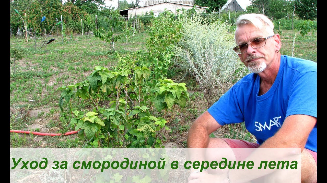 Нажмите, чтобы запустить видео