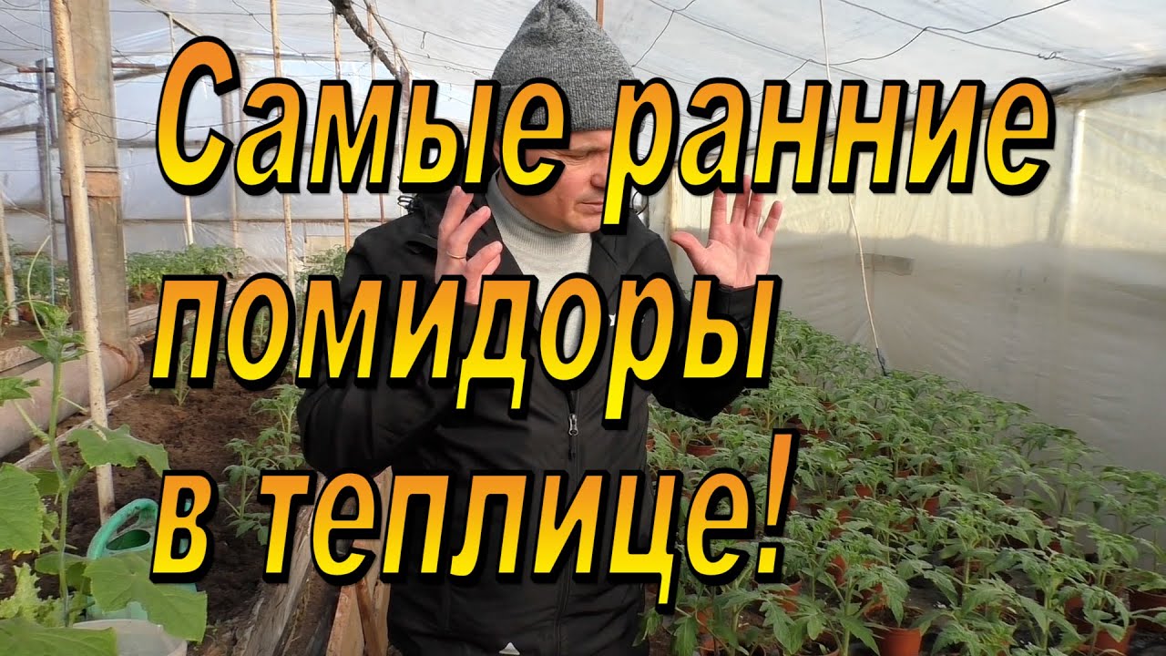 Нажмите, чтобы запустить видео