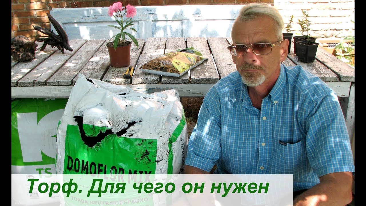 Нажмите, чтобы запустить видео