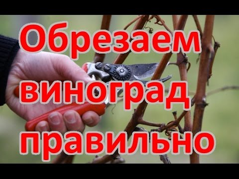 Нажмите, чтобы запустить видео