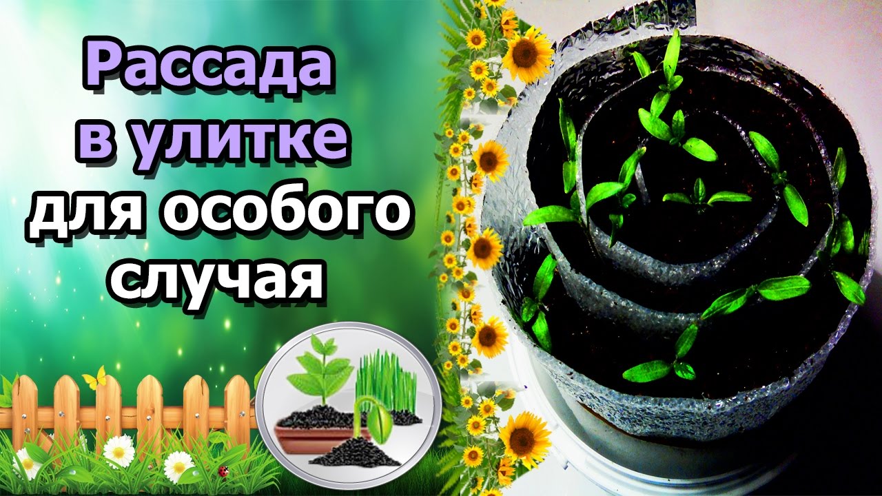Нажмите, чтобы запустить видео